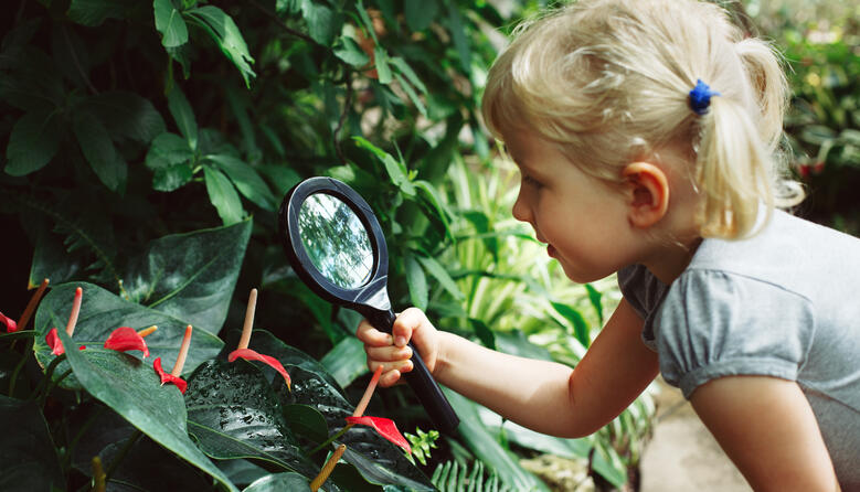 Nhận thức môi trường trong việc định hướng lối sống có ý thức