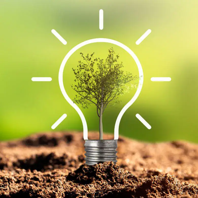 Yếu tố sinh thái trong bức tranh tổng thể của đời sống con người